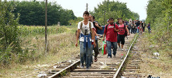 Flüchtlinge, Ungarn, Gleis, Bahn, Asyl, Asylbewerber