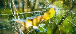 Scheibe, kaputt, fenster, gewalt, einbruch, angriff, übergriff