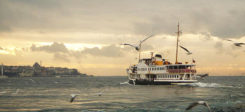 Istanbul, Türkei, Meer, Schiff, Möven