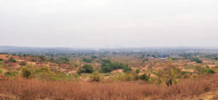 Nigeria, Afrika, Wüste, Land, Steppe