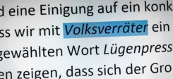 Volksverräter, Unwort, 2016, Unwort des Jahres
