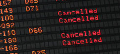 canceled, flight, flug, abgesagt, abschiebung, aussetzung, fluechtlinge
