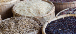 Reis, Nahrung, Hunger, Armut, Lebensmittel, Fairtrade, Handel