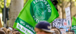 Fridays for Future, Klima, Umwelt, Klimawandel, Demonstration