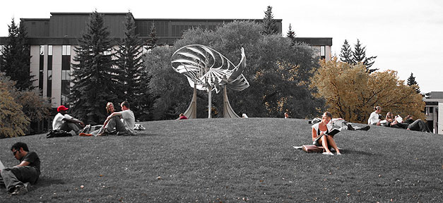 Campus © D'Arcy Norman auf flickr.com (CC 2.0)