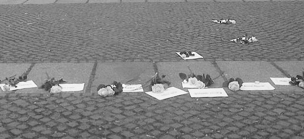 Weiße Rosen in Gedenken an die Opfer rechtsextremer Gewalt, in historischer Erinnerung an die Widerstandsgruppe im Nazi-Regime. Seit 1990 gab es laut Antonio-Amadeo-Stiftung 182 Totesopfer rechtsextremer Gewalt. © Forum der Brückenbauer, bearb. MiG