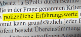 Bundesregierung verteidigt verdachtsunabhängige Polizeikontrollen nach Hautfarbe