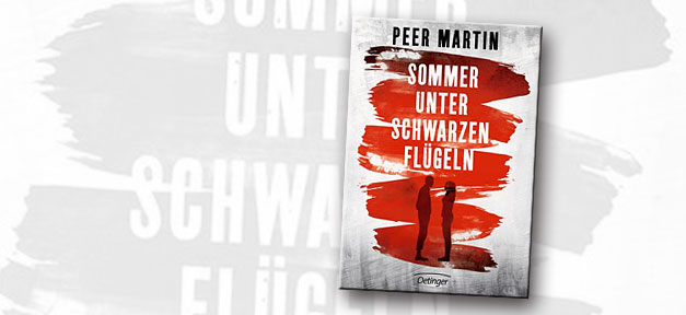 Buch, buchcover, sommer unter schwarzen flügeln, rassismus, neonazi, rechtsextremismus