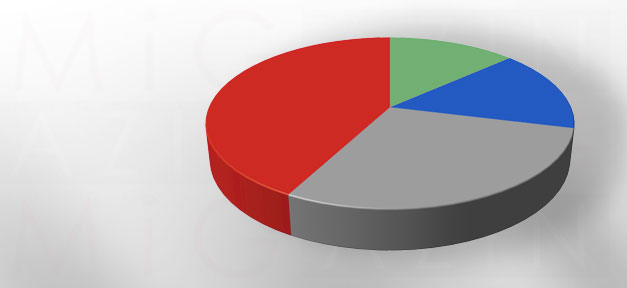 Tortengrafik, Umfrage, Statistik, Prozent, Studie