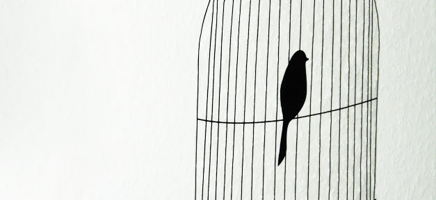 Vogel, Gefängnis, Käfig, Freiheit, Gefangen