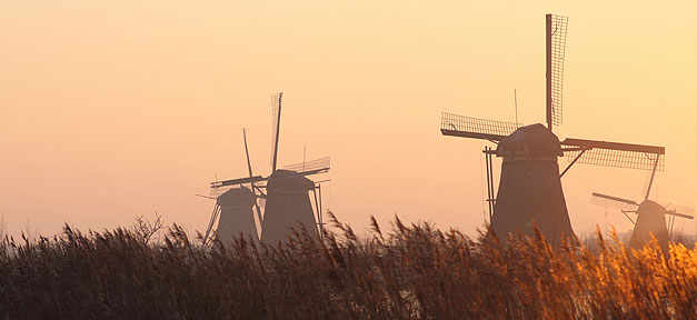 Windmühle, Niedrlande, Holland, Land