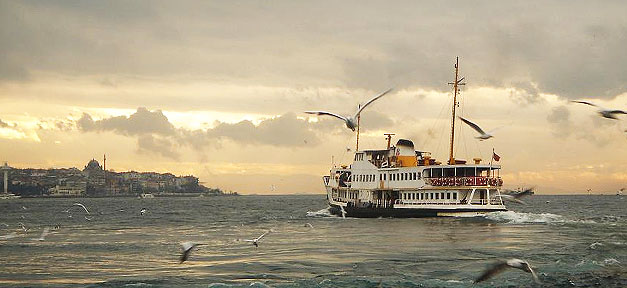 Istanbul, Türkei, Meer, Schiff, Möven