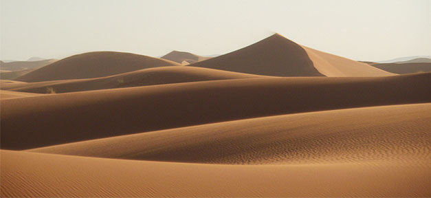 Wüste, Sand, Sahara, Sonne, Dune, Durst