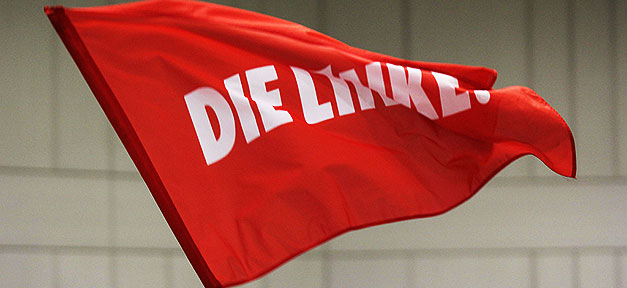 Die Linke, Fahne, Partei, Linkspartei, Linke