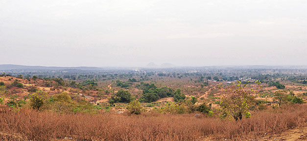 Nigeria, Afrika, Wüste, Land, Steppe