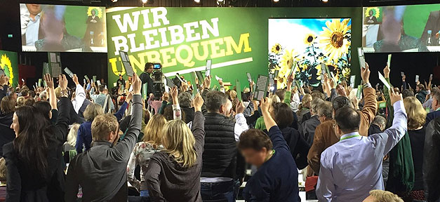 Grüne, Die Grünen, BDK, Bundesdelegiertenkonferenz, Abstimmung