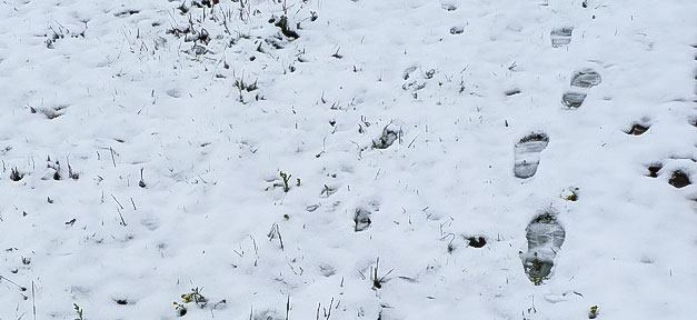 Winter, Schnee, Fußstapfen, Kälte, Kalt