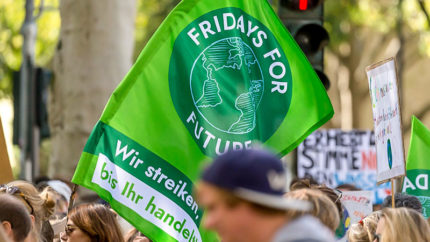 Fridays for Future, Klima, Umwelt, Klimawandel, Demonstration