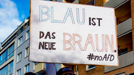 afd, noafd, demonstration, rechtsextremismus, blau, braun