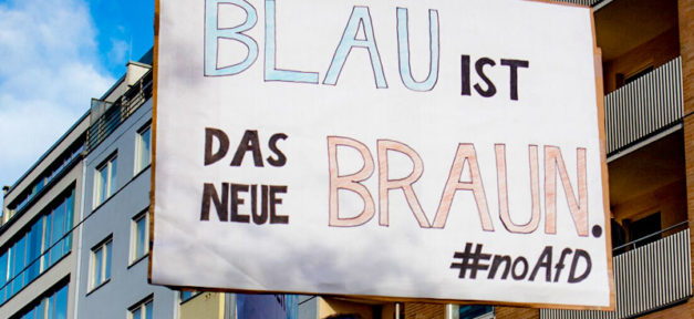 afd, noafd, demonstration, rechtsextremismus, blau, braun