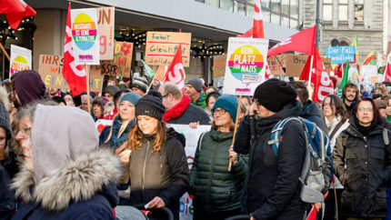 Demonstration, AfD, Rechtsextremismus, Neonazis, Braunschweig