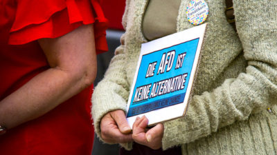 AfD, Demonstration, Alternative für Deutschland