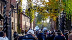 Auschwitz, Besucher, Stacheldraht, Konzentrationslager, KZ, Juden, Völkermord, Holocaust, Nationalsozialismus