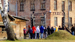 Auschwitz, Besucher, Stacheldraht, Konzentrationslager, KZ, Juden, Völkermord, Holocaust, Nationalsozialismus