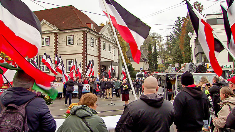 Demonstration, Rechtsextremismus, Neonazis, Nazi, Fahnen, Rechtsterrorismus