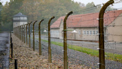Konzentrationslager, Buchenwald, KZ, Nationalsozialismus, Zaun, Gefängnis