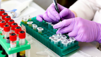 Iraner in Deutschland gut in Arbeitsmarkt integriert Iraner in Deutschland gut in Arbeitsmarkt integriert