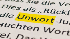 Unwort, Unwort des Jahres, Sprache, Gesellschaft, Jury