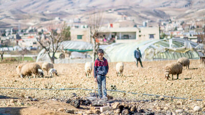 Libanon, Flüchtlingslager, Junge, Armut, Flucht, Schaafe, Hirte