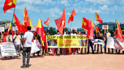 Äthiopien, Tigray, Krieg, Demonstration, Gewalt, Fahnen