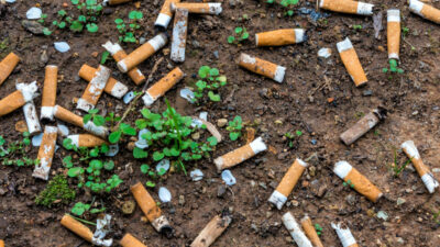 Zigaretten, Kippen, Boden, Umweltverschmutzung, Gesundheit