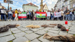 Demonstration, Frauen, Haare, Zöpfe, Iran, Kopftuch