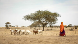 Afrikas Trockengebiete suchen Wege aus Dürre und Hunger Afrikas Trockengebiete suchen Wege aus Dürre und Hunger