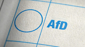 Fünf-Prozent-Partei könnte AfD zur Macht verhelfen