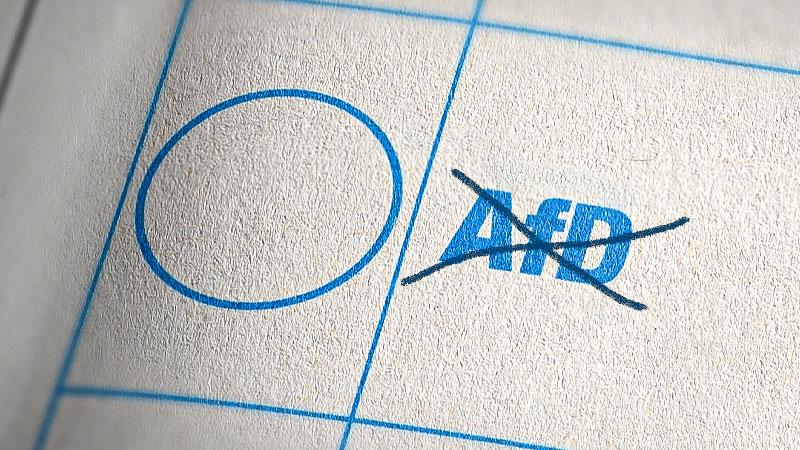 Analyse - Menschenrechtsinsitut: Voraussetzungen für AfD-Verbot sind erfüllt
