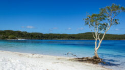 K'gari, Fraser Island, Australien, Insel, Meer, Strand, Sand, Baum, Himmel, Urlaub, Ferien