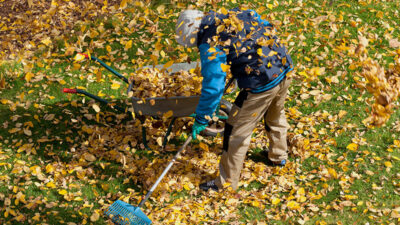 Laub, Wiese, Gärtner, Herbst, Ehrenamt, Arbeit, Kehren, Natur