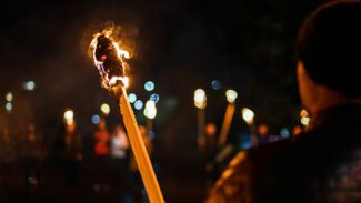 Täglich acht rechtsextreme Straftaten