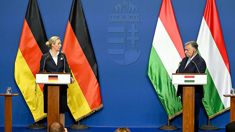 Alice Weidel, Deutschland, AfD, Viktor Orban, Ungarn, Fahne, Politik