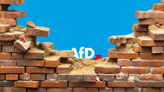 CSU unterstützt Ehrenmedaille für AfD-Mann CSU unterstützt Ehrenmedaille für AfD-Mann