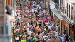 Demonstration, Demo, Menschen, Tourismus, Spanien, Mallorca, Touristen