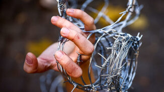 Juristin warnt vor Fehlentscheidungen in neuen Asylzentren