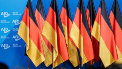 AfD, Rechtsextremismus, Fahne, Fahnen, Deutschland