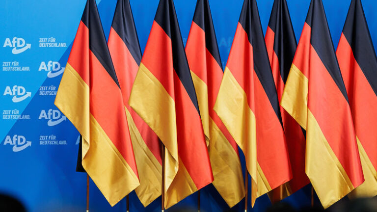 AfD, Rechtsextremismus, Fahne, Fahnen, Deutschland