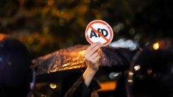 AfD, Demo, Demonstration, Rechtsextremismus, Rechtspopulismus, Politik, Partei, Deutschland