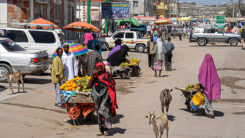 Somalia, Stadt, Menschen, Frauen, Männer, Frauen, Tiere, Afrika, Gebäude